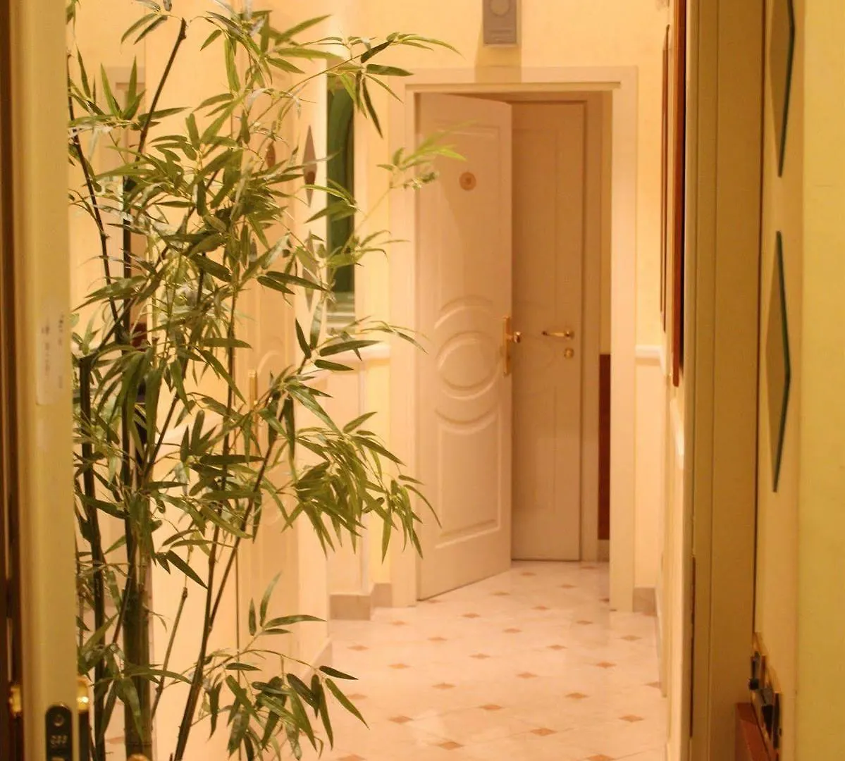 Hotel Viennese Rome